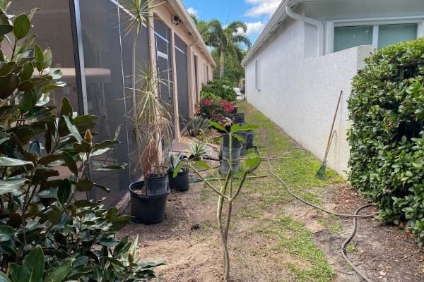 Custom Lanai Screen Installation