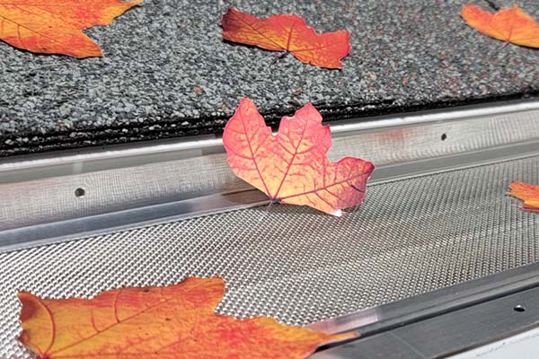 Learn More About Gutter Guards